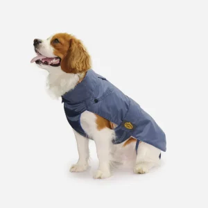 Blå regnjakke med aftageligt foer fra Fashion Dog - art.109