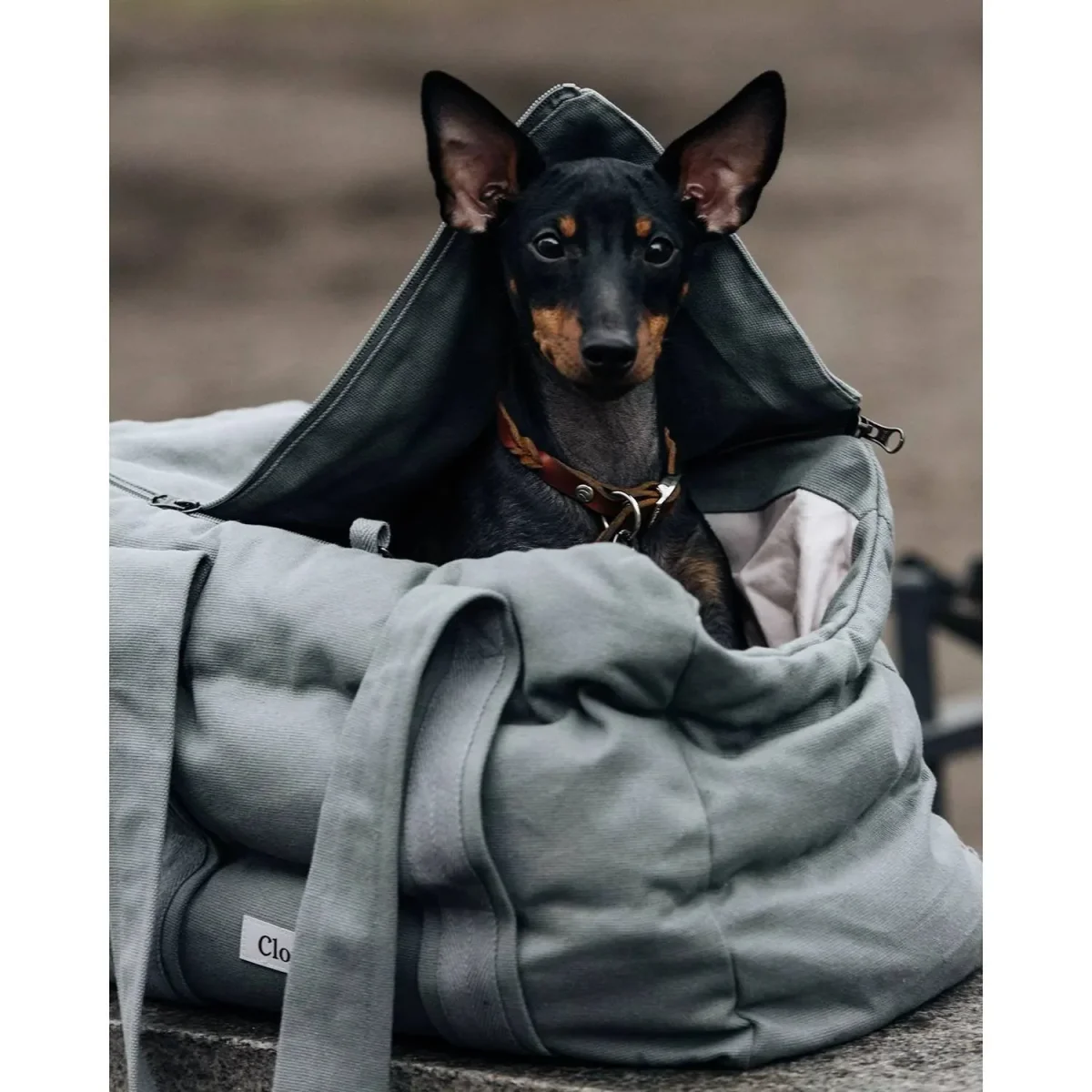 Cloud7 Hundetaske BERGAMO Canvas Grey - Billede 2